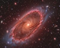 Red Potato Galaxy